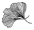 Small gingko leaf in the top right corner of the web page.