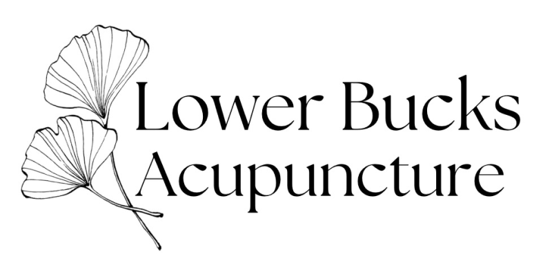 Large logo that says Lower Bucks Acupuncture with two gingko leaves crossing over eachother.